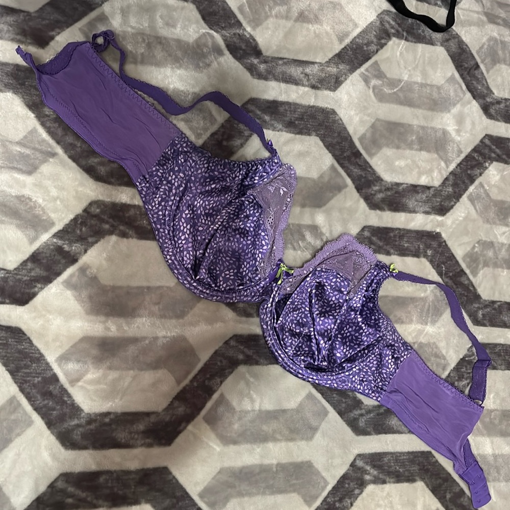 Purple Elomi 38F bra